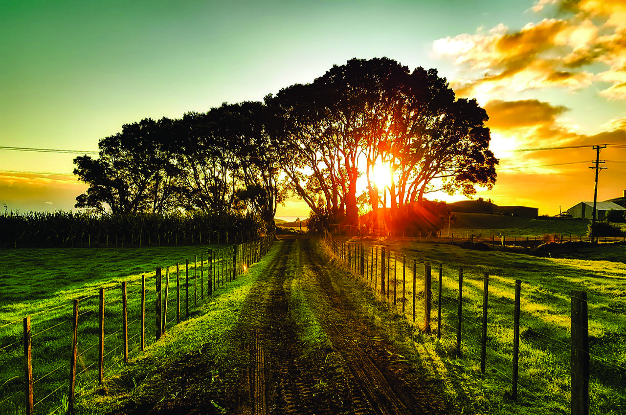 Fazenda verda